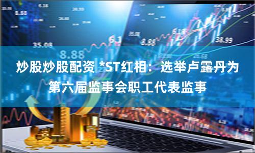 炒股炒股配资 *ST红相：选举卢露丹为第六届监事会职工代表监事