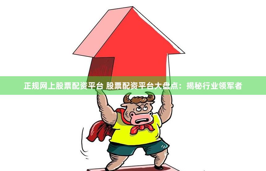正规网上股票配资平台 股票配资平台大盘点:揭秘行业领军者