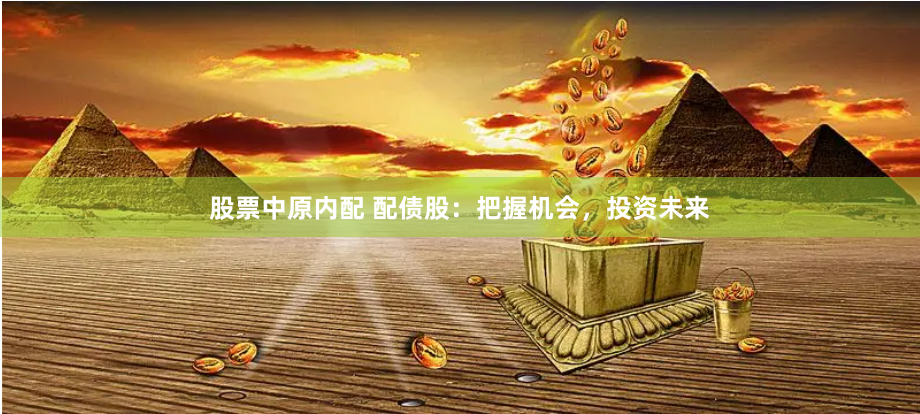 股票中原内配 配债股：把握机会，投资未来