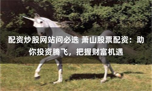 配资炒股网站问必选 萧山股票配资：助你投资腾飞，把握财富机遇