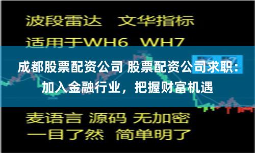 成都股票配资公司 股票配资公司求职：加入金融行业，把握财富机遇