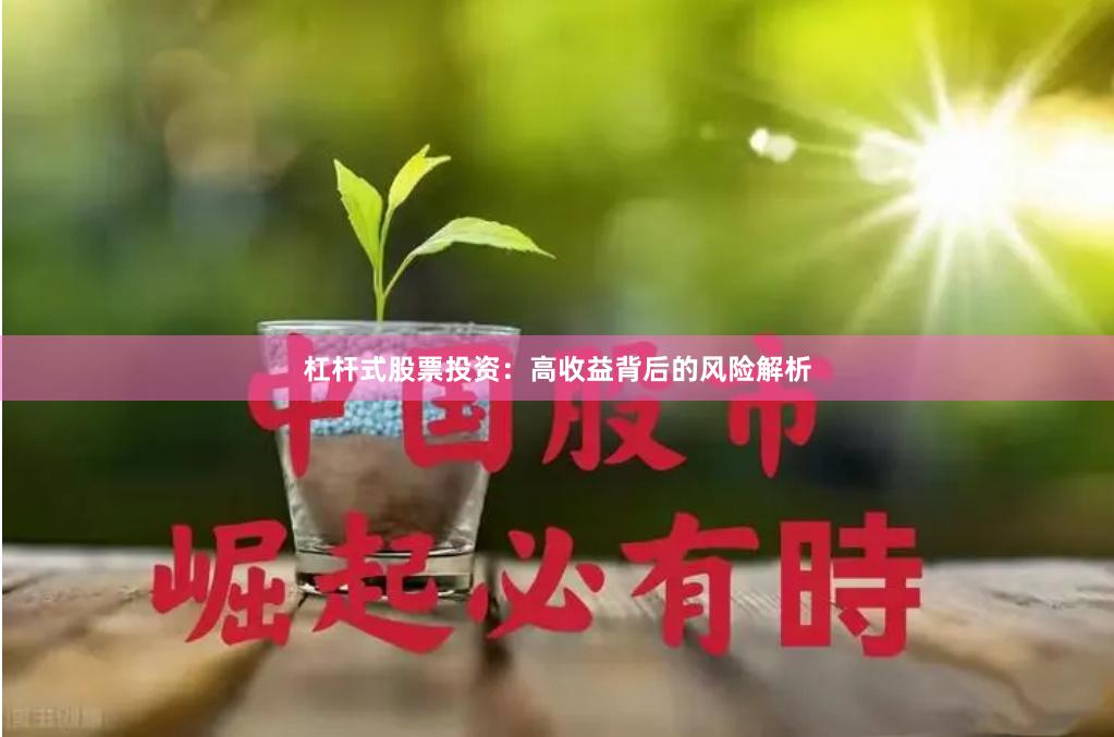 杠杆式股票投资：高收益背后的风险解析