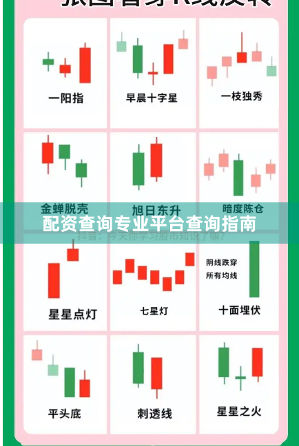 配资查询专业平台查询指南